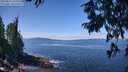 ./images/koeye/fitz-hugh/20250813/fitz-hugh20250813_122510M.jpg