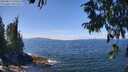 ./images/koeye/fitz-hugh/20250813/fitz-hugh20250813_130507M.jpg
