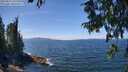 ./images/koeye/fitz-hugh/20250813/fitz-hugh20250813_132509M.jpg