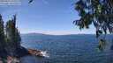 ./images/koeye/fitz-hugh/20250813/fitz-hugh20250813_133011M.jpg