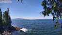 ./images/koeye/fitz-hugh/20250813/fitz-hugh20250813_133510M.jpg