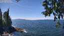 ./images/koeye/fitz-hugh/20250813/fitz-hugh20250813_134011M.jpg