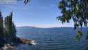 ./images/koeye/fitz-hugh/20250813/fitz-hugh20250813_134511M.jpg