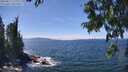 ./images/koeye/fitz-hugh/20250813/fitz-hugh20250813_140012M.jpg