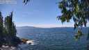 ./images/koeye/fitz-hugh/20250813/fitz-hugh20250813_140510M.jpg