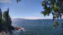 ./images/koeye/fitz-hugh/20250813/fitz-hugh20250813_141511M.jpg