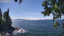 ./images/koeye/fitz-hugh/20250813/fitz-hugh20250813_142508M.jpg
