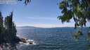 ./images/koeye/fitz-hugh/20250813/fitz-hugh20250813_143012M.jpg
