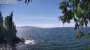 ./images/koeye/fitz-hugh/20250813/fitz-hugh20250813_143510M.jpg