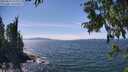 ./images/koeye/fitz-hugh/20250813/fitz-hugh20250813_144011M.jpg