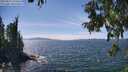 ./images/koeye/fitz-hugh/20250813/fitz-hugh20250813_144511M.jpg