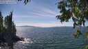 ./images/koeye/fitz-hugh/20250813/fitz-hugh20250813_145011M.jpg