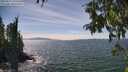 ./images/koeye/fitz-hugh/20250813/fitz-hugh20250813_145510M.jpg