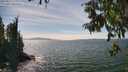 ./images/koeye/fitz-hugh/20250813/fitz-hugh20250813_150011M.jpg