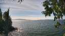 ./images/koeye/fitz-hugh/20250813/fitz-hugh20250813_150510M.jpg