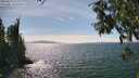 ./images/koeye/fitz-hugh/20250813/fitz-hugh20250813_153509M.jpg