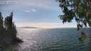 ./images/koeye/fitz-hugh/20250813/fitz-hugh20250813_154011M.jpg