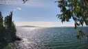 ./images/koeye/fitz-hugh/20250813/fitz-hugh20250813_154511M.jpg