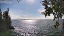 ./images/koeye/fitz-hugh/20250813/fitz-hugh20250813_164010M.jpg