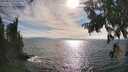 ./images/koeye/fitz-hugh/20250813/fitz-hugh20250813_173510M.jpg