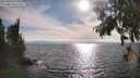 ./images/koeye/fitz-hugh/20250813/fitz-hugh20250813_175008M.jpg