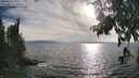 ./images/koeye/fitz-hugh/20250813/fitz-hugh20250813_181510M.jpg