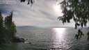 ./images/koeye/fitz-hugh/20250813/fitz-hugh20250813_182011M.jpg