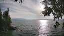 ./images/koeye/fitz-hugh/20250813/fitz-hugh20250813_182508M.jpg
