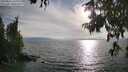 ./images/koeye/fitz-hugh/20250813/fitz-hugh20250813_183011M.jpg