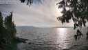 ./images/koeye/fitz-hugh/20250813/fitz-hugh20250813_183511M.jpg