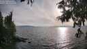 ./images/koeye/fitz-hugh/20250813/fitz-hugh20250813_184511M.jpg