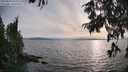 ./images/koeye/fitz-hugh/20250813/fitz-hugh20250813_190009M.jpg