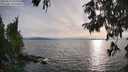 ./images/koeye/fitz-hugh/20250813/fitz-hugh20250813_190510M.jpg