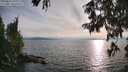 ./images/koeye/fitz-hugh/20250813/fitz-hugh20250813_191009M.jpg