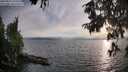 ./images/koeye/fitz-hugh/20250813/fitz-hugh20250813_194509M.jpg
