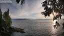 ./images/koeye/fitz-hugh/20250813/fitz-hugh20250813_195508M.jpg