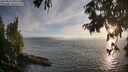 ./images/koeye/fitz-hugh/20250813/fitz-hugh20250813_200509M.jpg