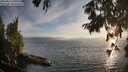 ./images/koeye/fitz-hugh/20250813/fitz-hugh20250813_201009M.jpg