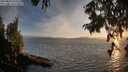 ./images/koeye/fitz-hugh/20250813/fitz-hugh20250813_202508M.jpg
