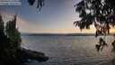 ./images/koeye/fitz-hugh/20250813/fitz-hugh20250813_205009M.jpg