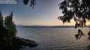 ./images/koeye/fitz-hugh/20250813/fitz-hugh20250813_205509M.jpg