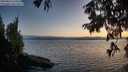 ./images/koeye/fitz-hugh/20250813/fitz-hugh20250813_210508M.jpg
