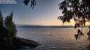 ./images/koeye/fitz-hugh/20250813/fitz-hugh20250813_211009M.jpg