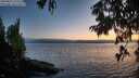 ./images/koeye/fitz-hugh/20250813/fitz-hugh20250813_211509M.jpg