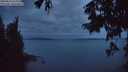 ./images/koeye/fitz-hugh/20250814/fitz-hugh20250814_054009M.jpg
