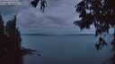 ./images/koeye/fitz-hugh/20250814/fitz-hugh20250814_054508M.jpg