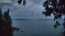 ./images/koeye/fitz-hugh/20250814/fitz-hugh20250814_055010M.jpg
