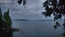 ./images/koeye/fitz-hugh/20250814/fitz-hugh20250814_055508M.jpg