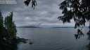 ./images/koeye/fitz-hugh/20250814/fitz-hugh20250814_061011M.jpg