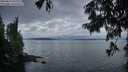 ./images/koeye/fitz-hugh/20250814/fitz-hugh20250814_062010M.jpg